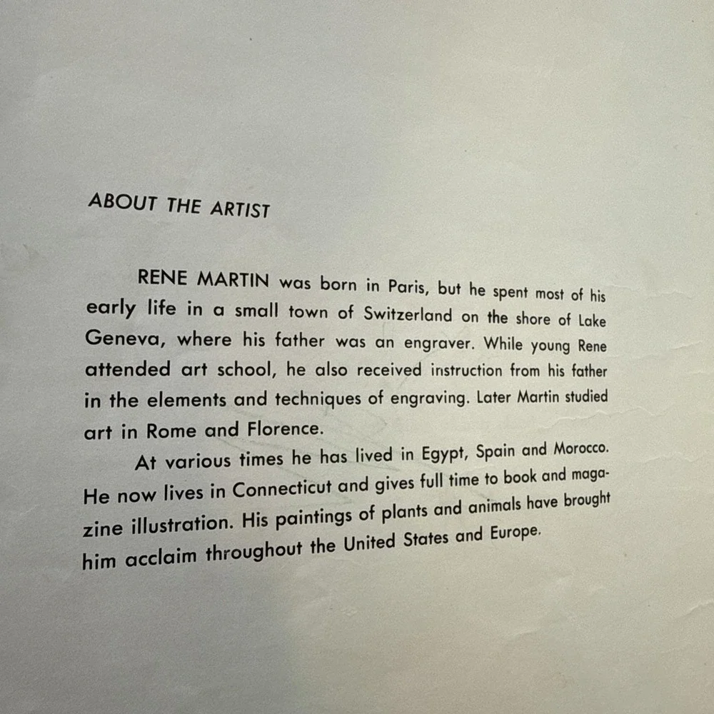 Vintage‎ First ABC: An Educational Picture Book Hardcover XL 9.5